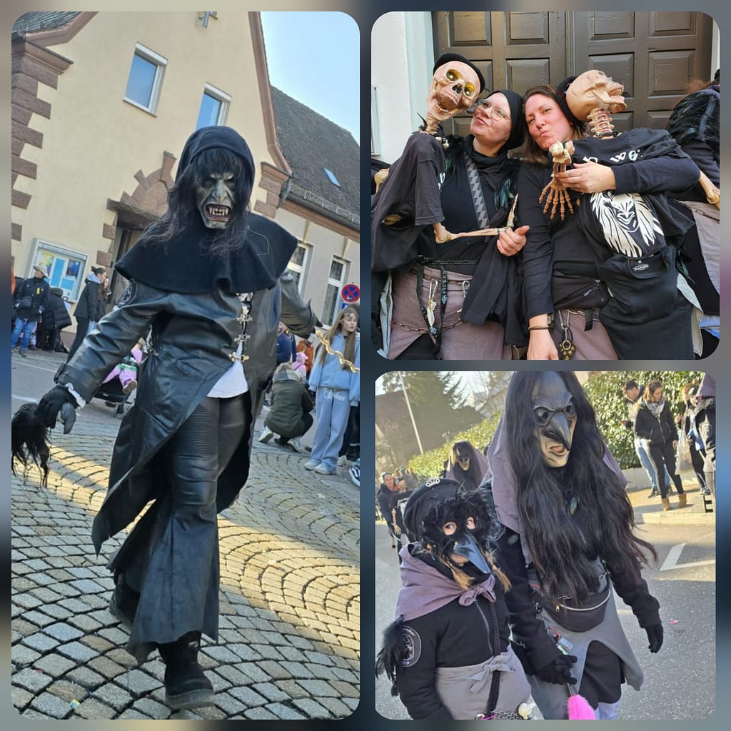 Über uns Mitglieder der Robaweiber Reutlingen beim Narrentreiben – im Treiberhäs und Rabenhäs